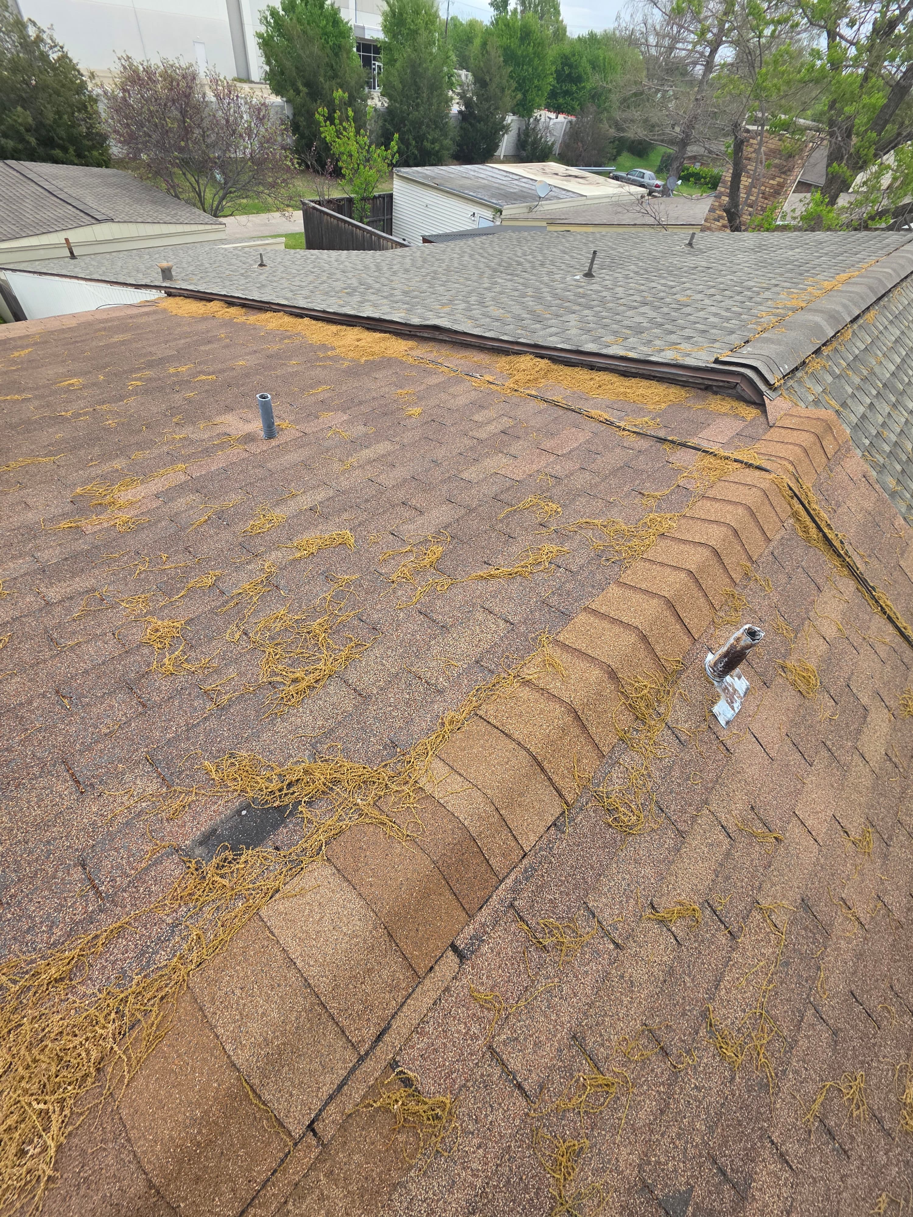Project Storm Damage on Dallas Roofs Is Harder to Spot Than You Think image