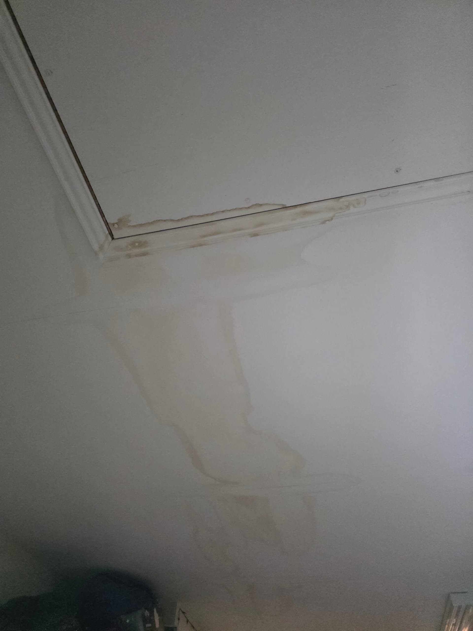 Resolving Water Damage with Precision Leak Detection