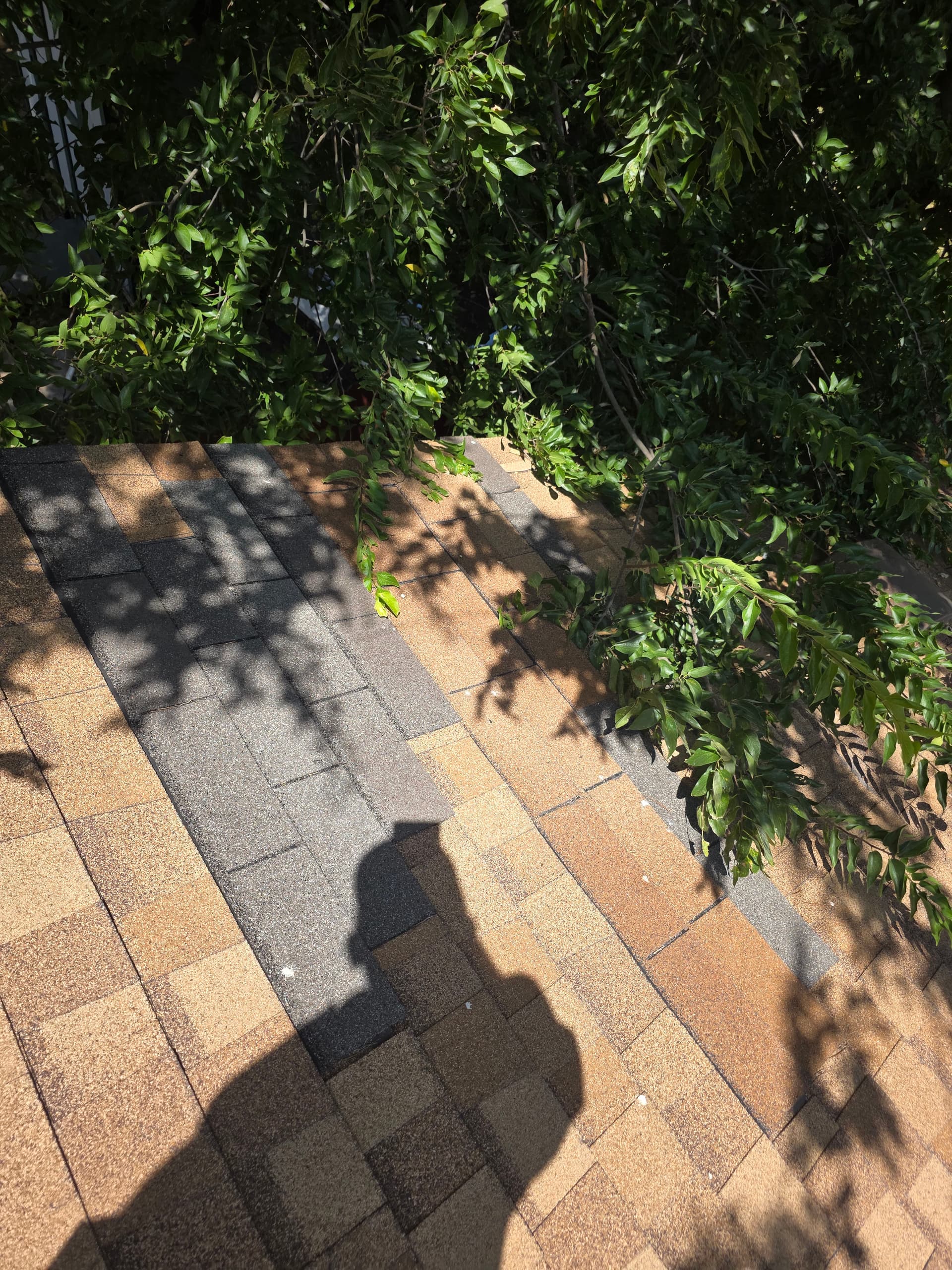 Gallery photos for Roof Inspection on an Arlington Investment Property: Image #2