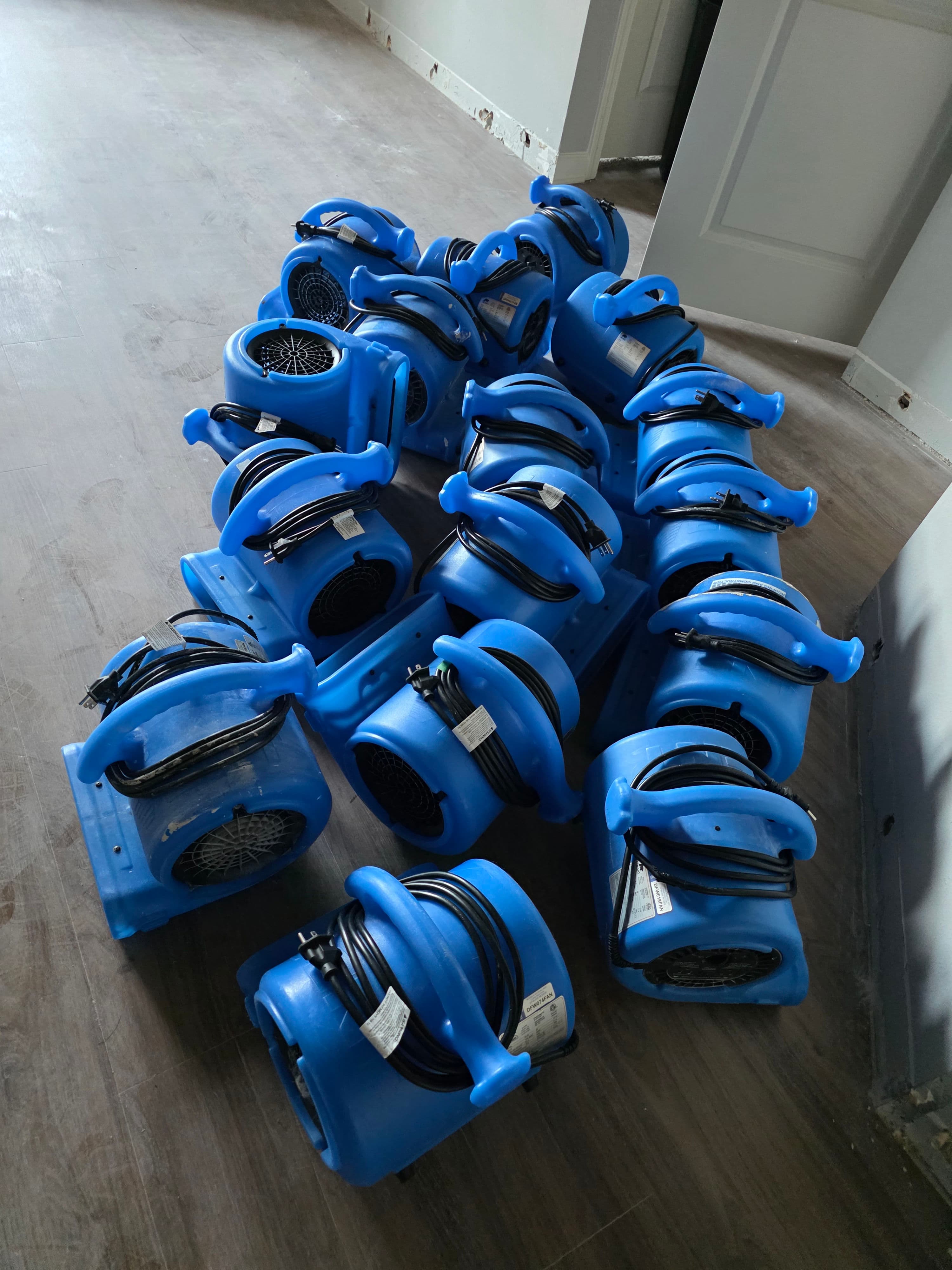 Project Post-Storm Restoration in DFW image