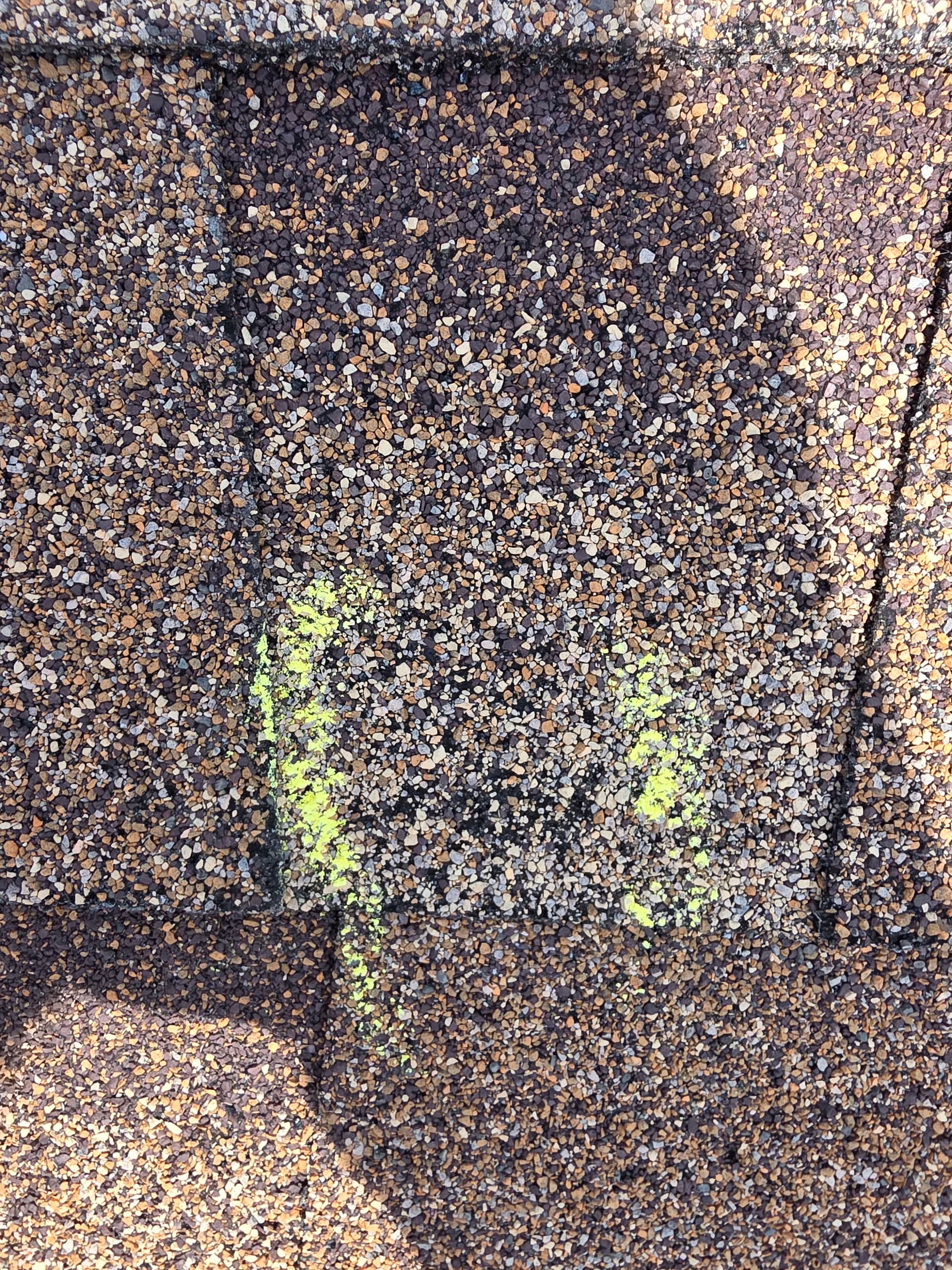 Gallery photos for Hail Hit Joshua Hard - Here's What We're Finding: Image #1