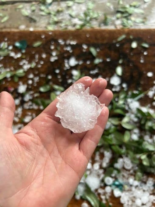 Hail Storm Recovery Services in Sherman TX