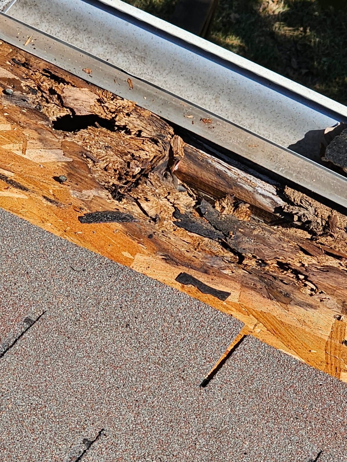 Cautionary Tale of Hidden Roof Damage from Satellite Dishes