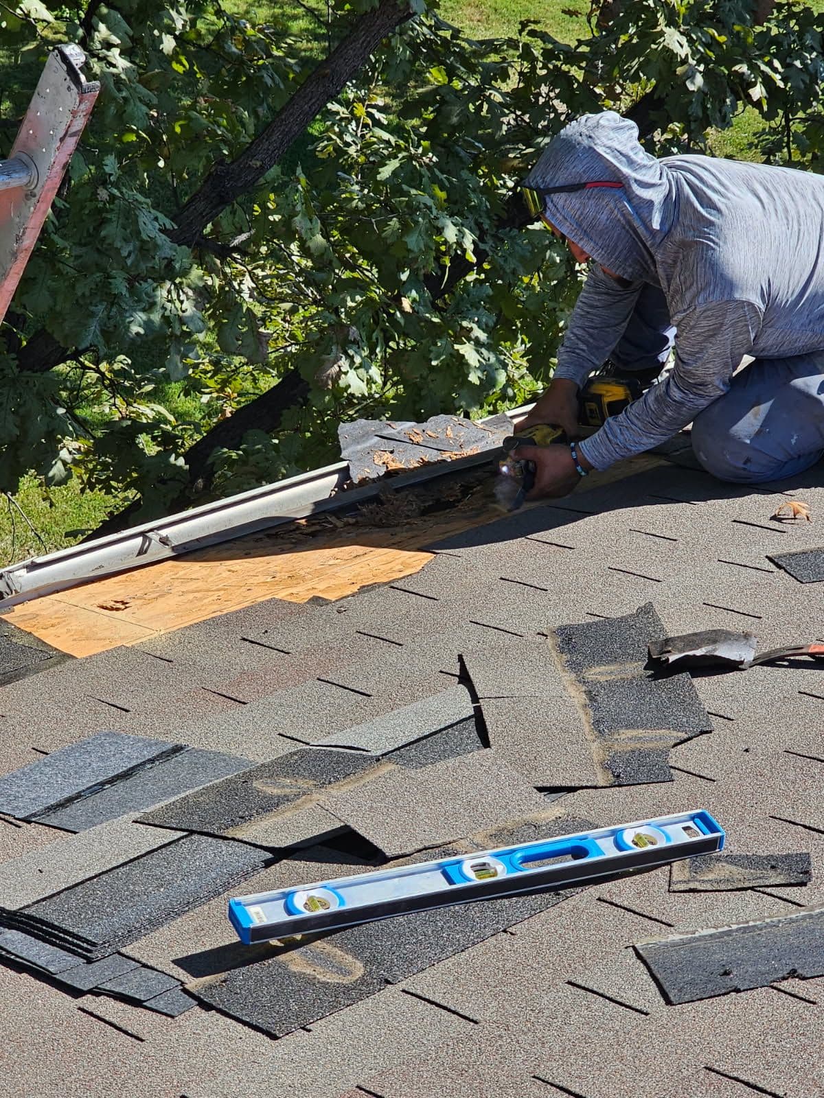Project Roof Maintenance Alert Stop Damage Before It Gets Worse image