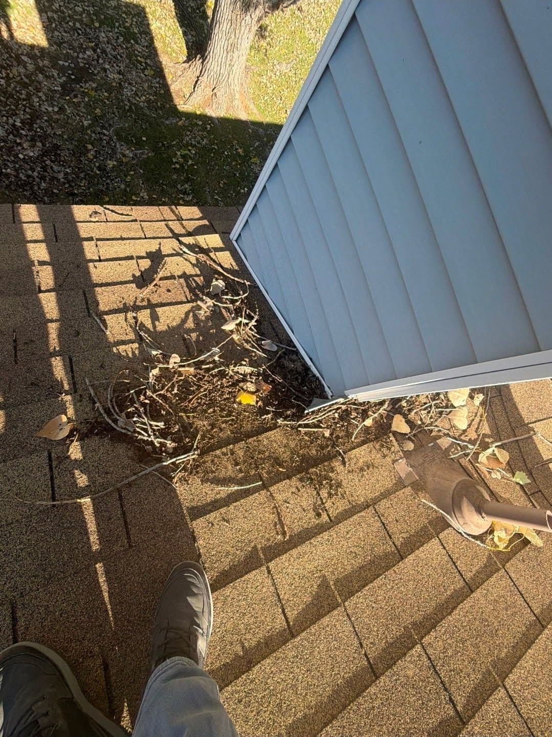 Project Winter Roof Care in DFW image